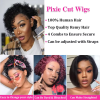 Pixie Cut Wigs Human Hair Short Curly Lace Front Human Hair Wigs Water Wave Bob Wig 13x1 Transparent Lace Wigs For Women