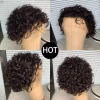 Pixie Cut Wigs Human Hair Short Curly Lace Front Human Hair Wigs Water Wave Bob Wig 13x1 Transparent Lace Wigs For Women
